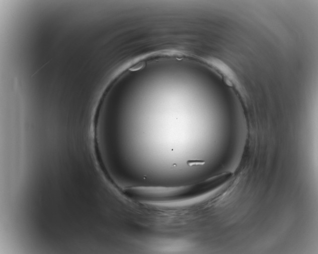 X0000089891335200707051221