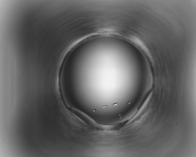 X0000089891336200707051221