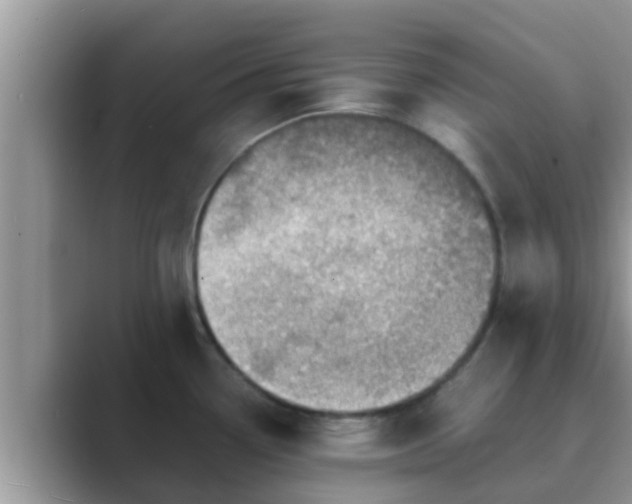 X0000089891338200707051221