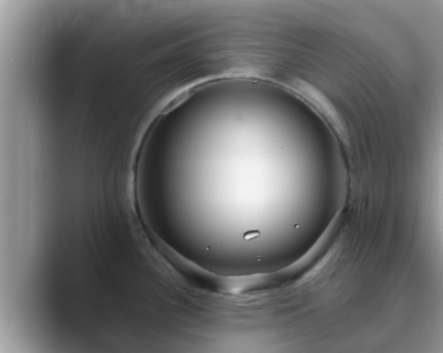 X0000089891340200707051221