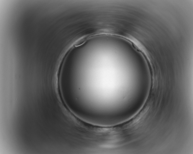 X0000089891341200707051221