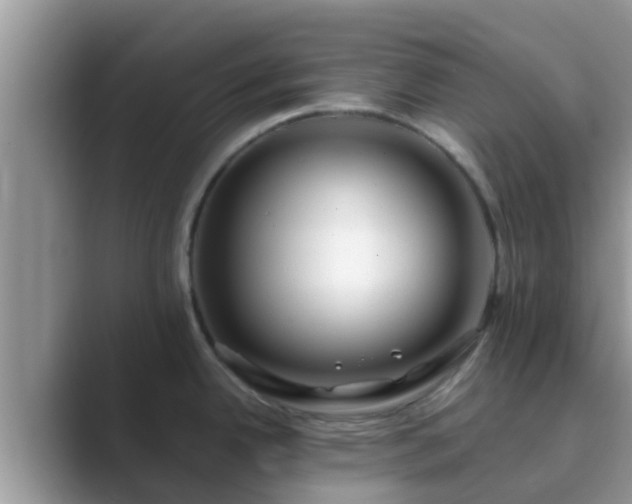 X0000089891342200707051221