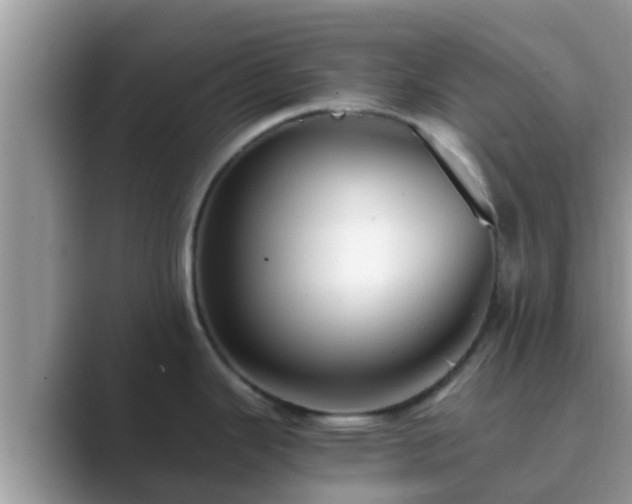 X0000089891343200707051221