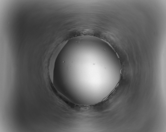 X0000089891345200707051221