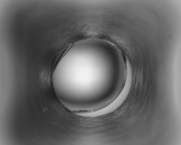 X0000089891348200707051221