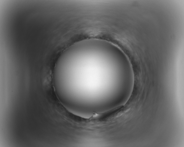 X0000089891349200707051221