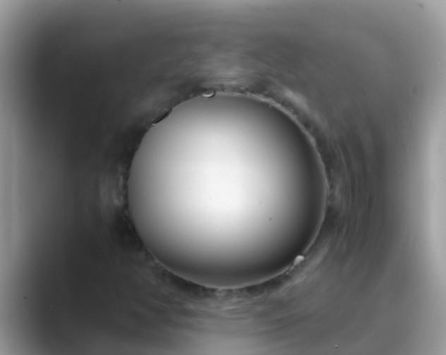 X0000089891350200707051221