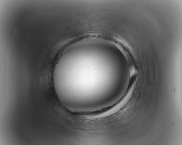 X0000089891352200707051221