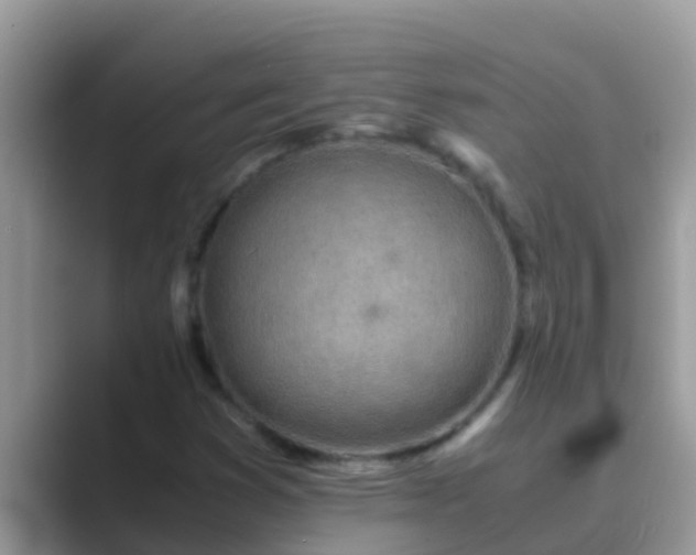 X0000089891353200707051221