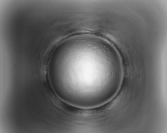 X0000089891355200707051221
