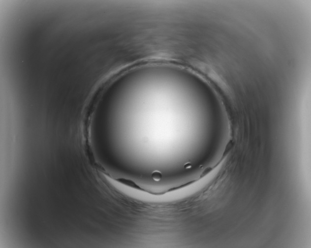 X0000089891356200707051221