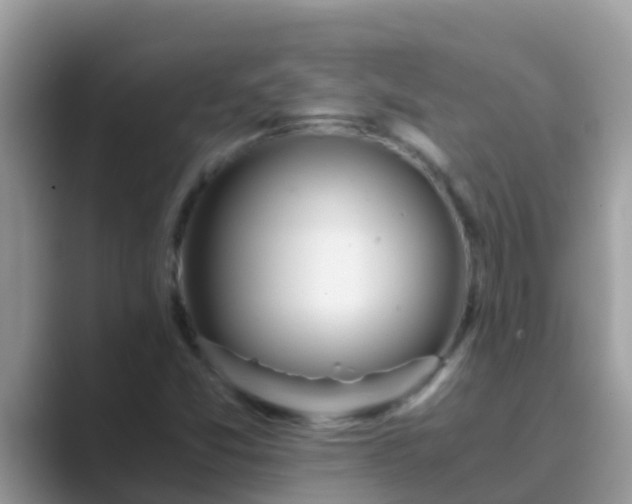 X0000089891357200707051221