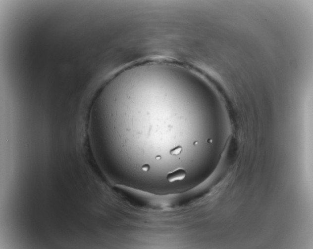 X0000089891359200707051221