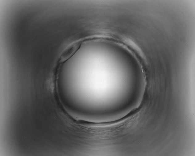 X0000089891360200707051221