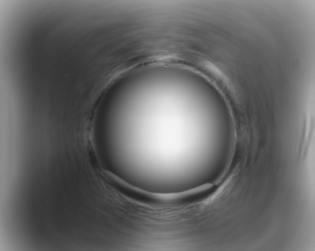 X0000089891361200707051221
