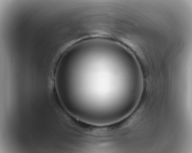 X0000089891363200707051221