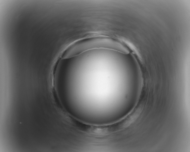 X0000089891365200707051221
