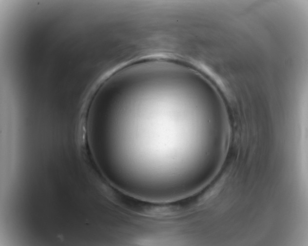 X0000089891367200707051221