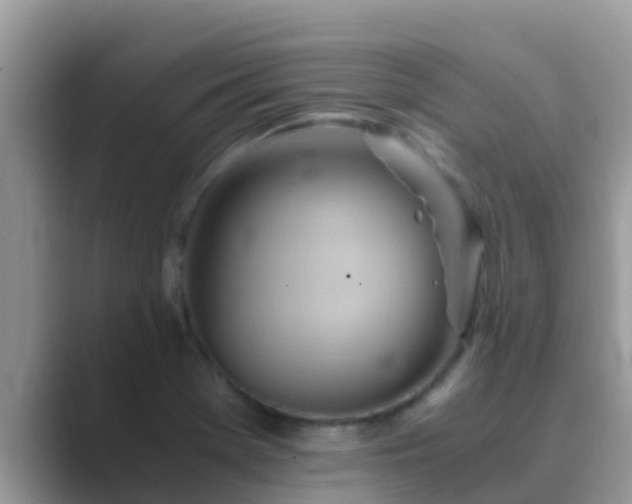 X0000089891369200707051220