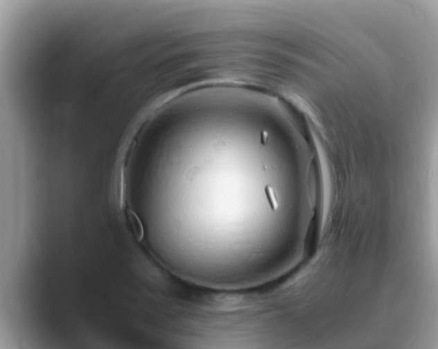 X0000089891371200707051220