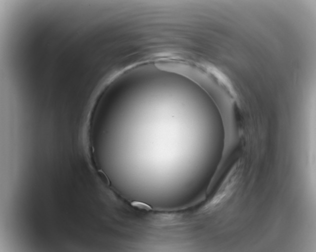 X0000089891373200707051220