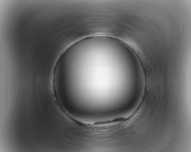 X0000089891374200707051220