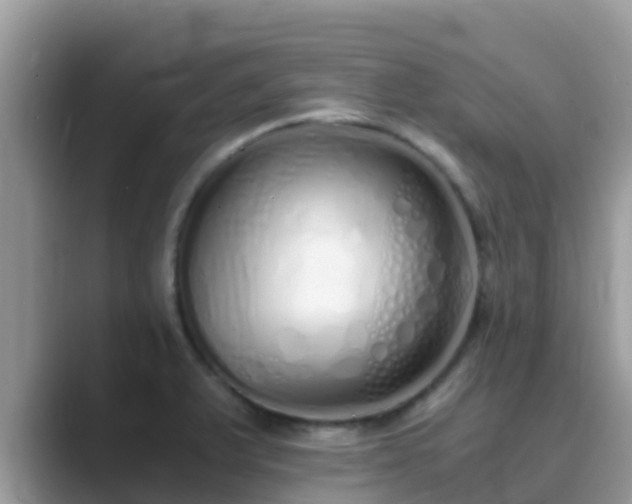 X0000089891375200707051220