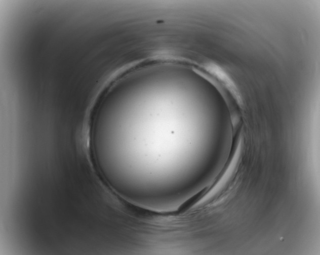 X0000089891376200707051220