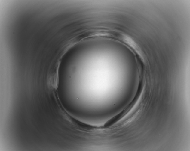 X0000089891377200707051220