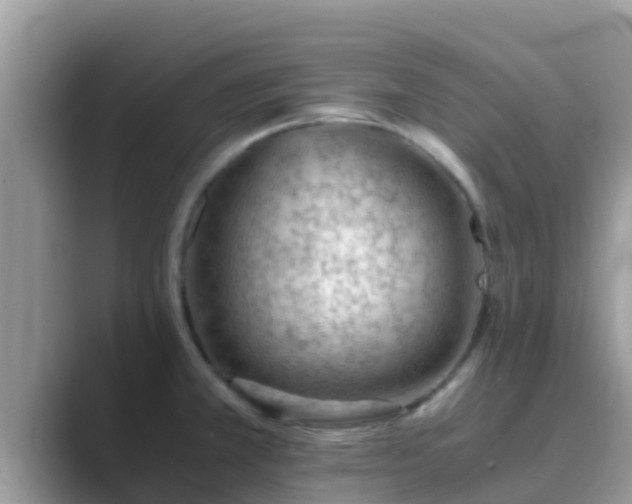 X0000089891381200707051220