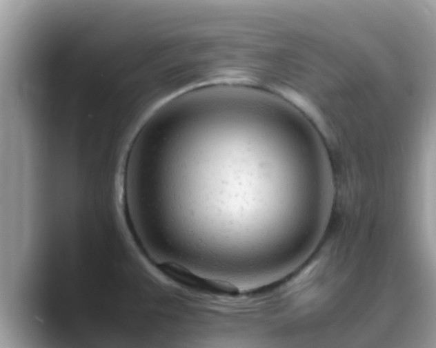 X0000089891383200707051220