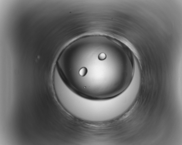X0000089891388200707051220