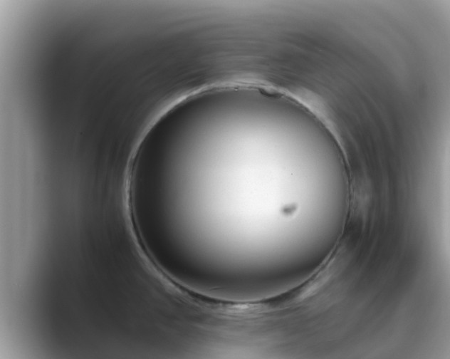 X0000089891390200707051220