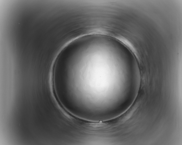 X0000089891391200707051220