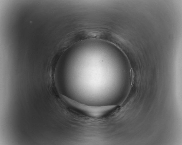 X0000089891394200707051220