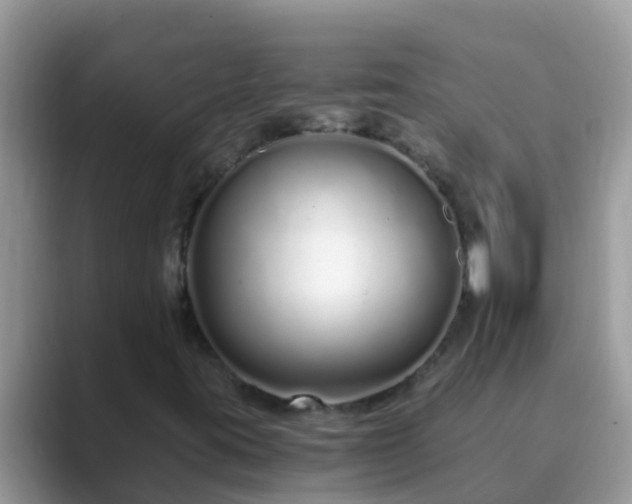 X0000089891395200707051220