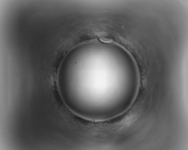 X0000089891397200707051220