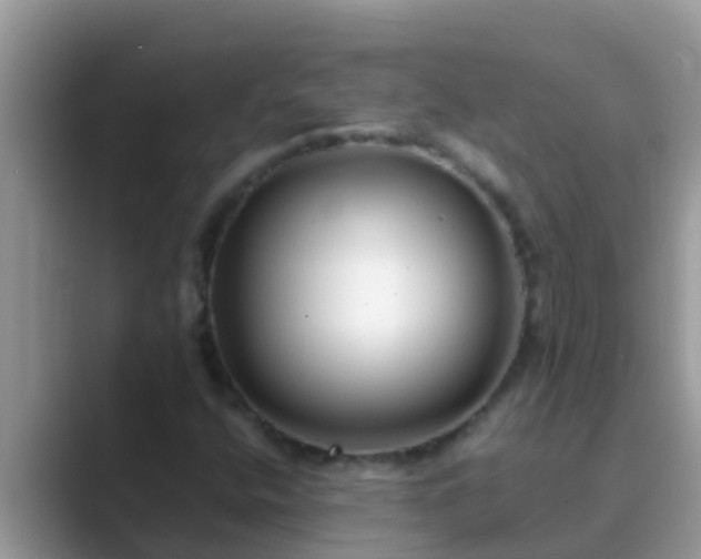 X0000089891400200707051220