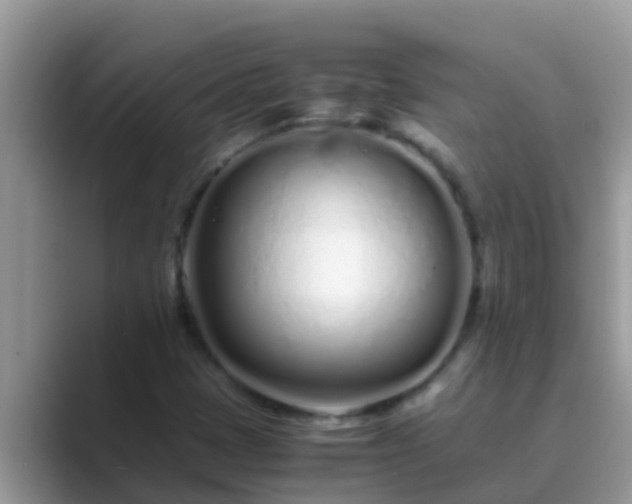 X0000089891401200707051220