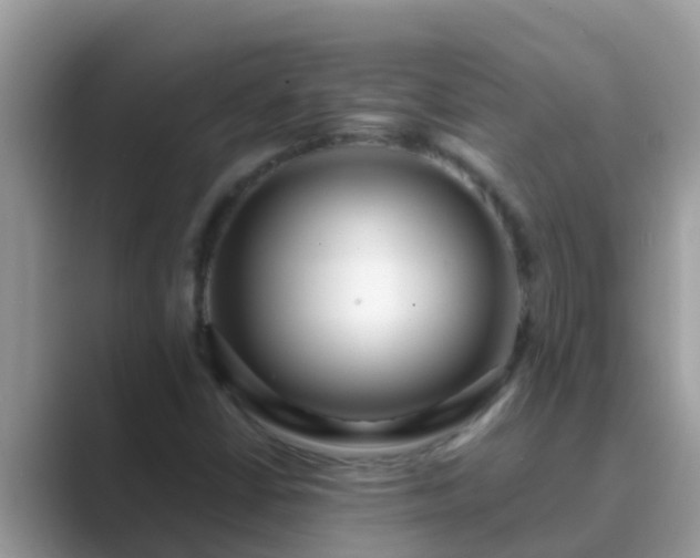 X0000089891402200707051220