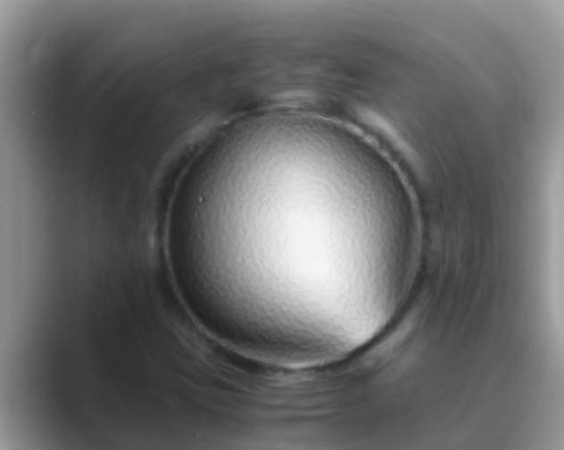 X0000089891403200707051220