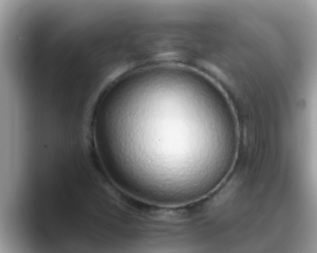 X0000089891405200707051220