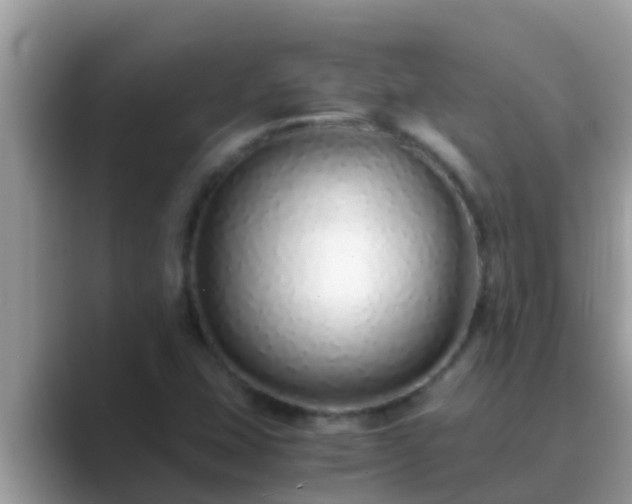 X0000089891407200707051220
