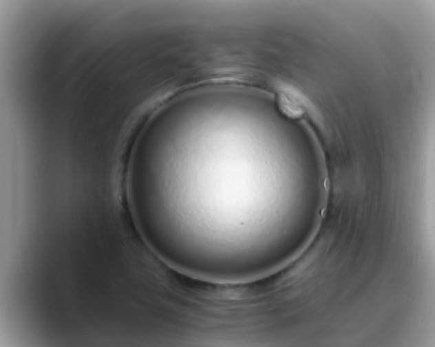X0000089891411200707051220