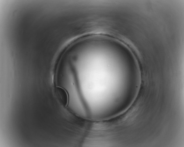 X0000089891416200707051220