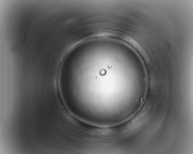 X0000089891417200707051220