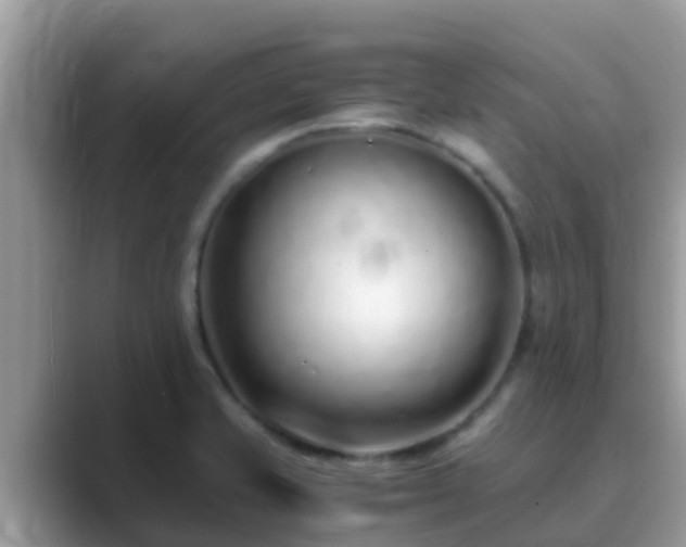 X0000089891421200707051220