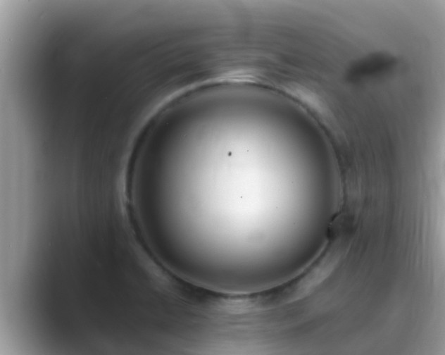 X0000089891422200707051220