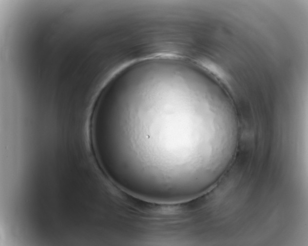 X0000089891423200707051220