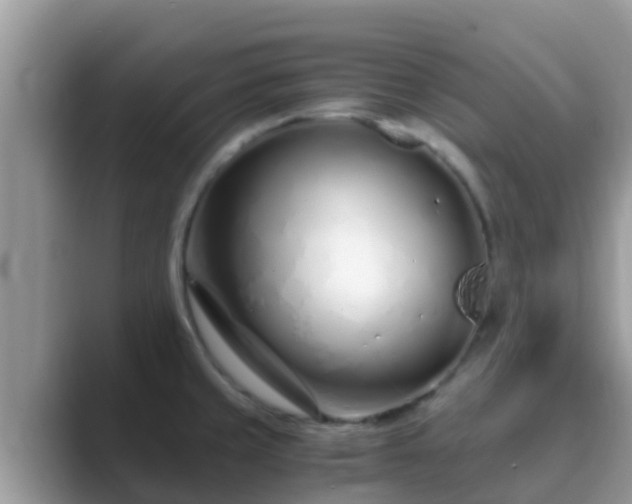 X0000089891429200707051220